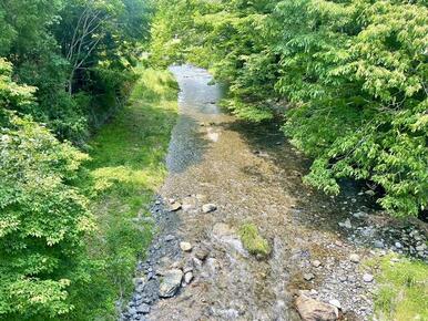 そばを流れる川（川クルミ橋から撮影）