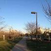 公園