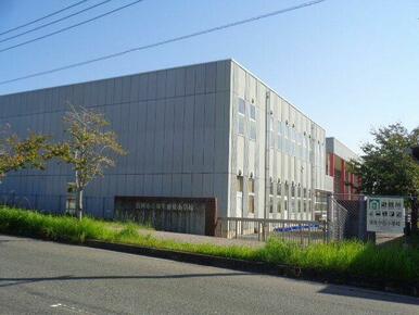 弥生が丘小学校