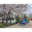 公園