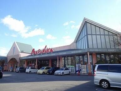 マルナカ徳島空港店様