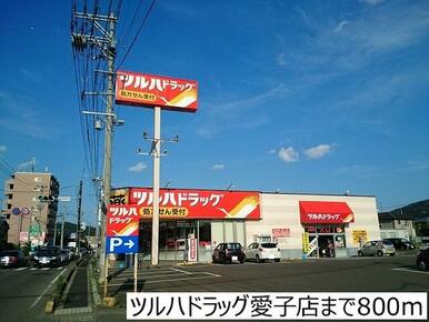 ツルハドラッグ愛子店