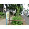 公園
