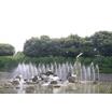 公園