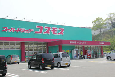 ディスカウントドラッグコスモス岸の浦店