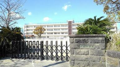 大在小学校