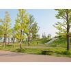 公園