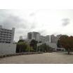 大学