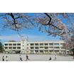 小学校