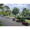 公園