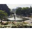 公園