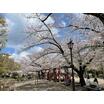 公園