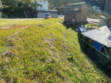 傾斜地部分の様子