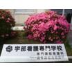 専門学校