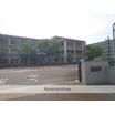 大学