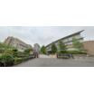大学