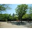公園