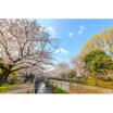 公園