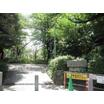 公園