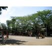 公園