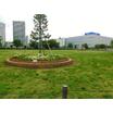 公園