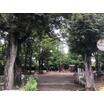 公園