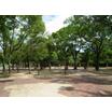 公園