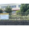 幼稚園、保育園