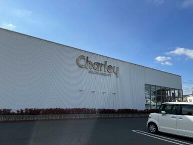 ドラッグストアチャーリー丸亀店