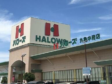 ハローズ丸亀中府店
