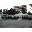幼稚園、保育園