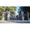 大学