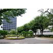 公園