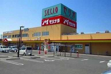 モリナガ