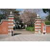 大学