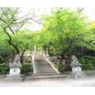 公園