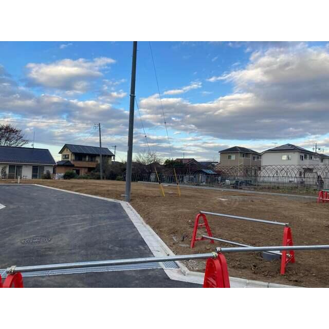 全体