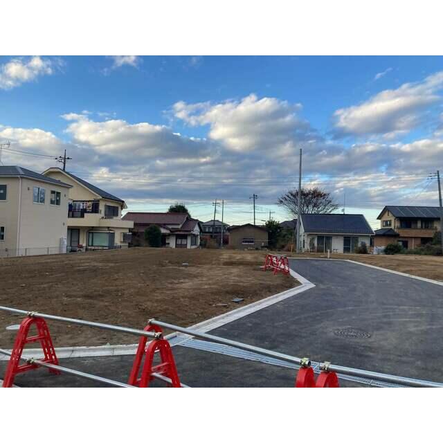 全体