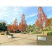公園