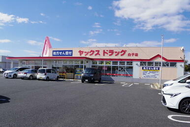 ヤックスドラッグ白子店