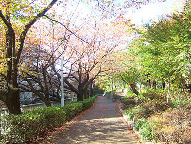 江戸川公園