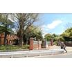 大学