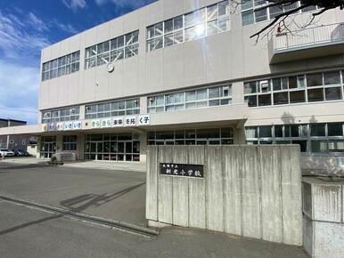 新光小学校／徒歩５分（３５０ｍ）