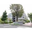 大学