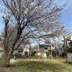 公園