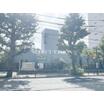 幼稚園、保育園