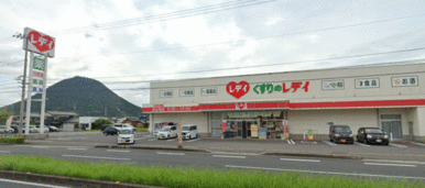 くすりのレデイ坂出南店