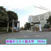 大学