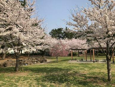 幸町公園