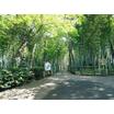 公園